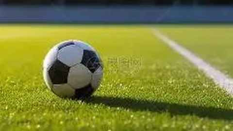 “哈登比赛中摔倒惊吓到邓紫棋，观战瞬间变表情包素材”